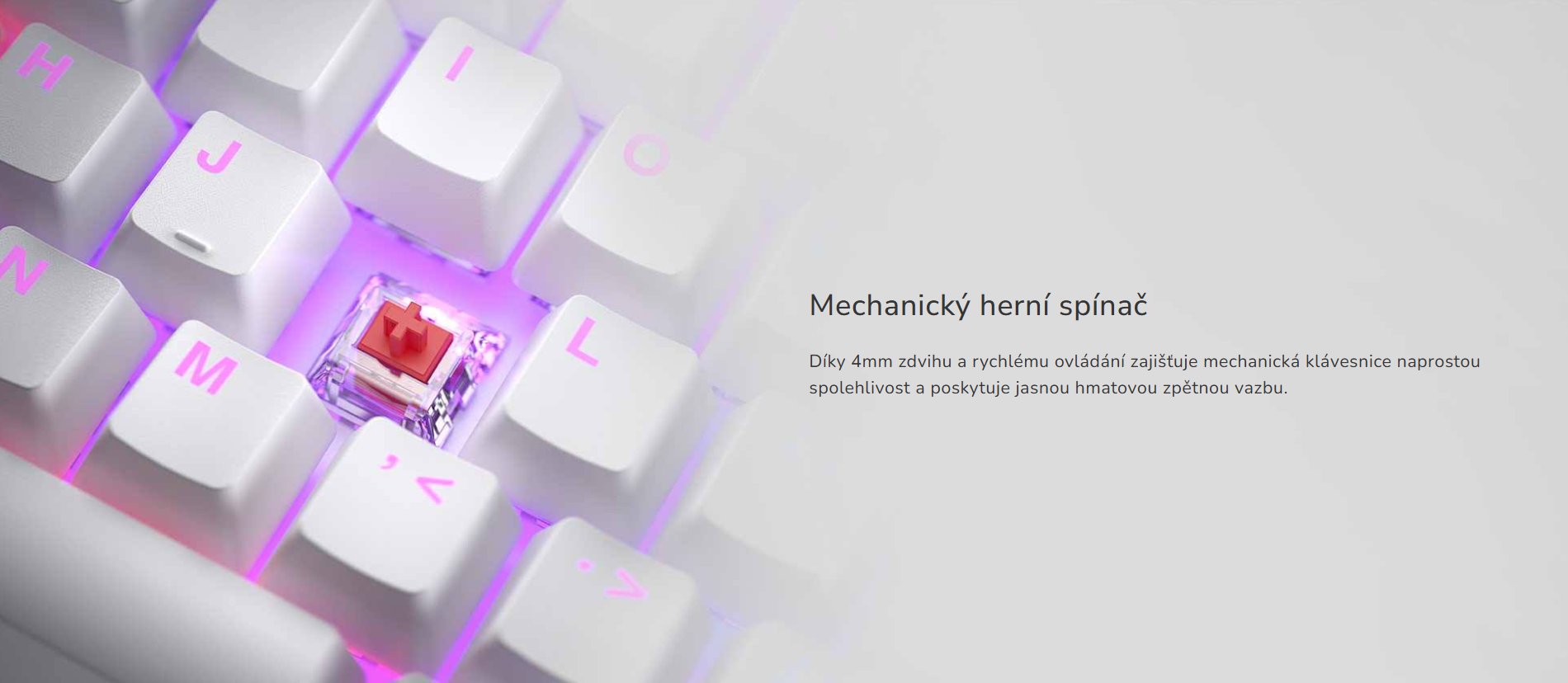 Snímek obrazovky 2026-03-30 134643